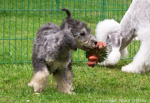 Svet & Alanus 05062006-2.jpg - ASCII